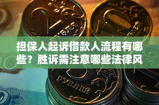 武汉担保人起诉借款人流程有哪些？胜诉需注意哪些法律风险？
